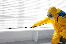 Best Bed Bug Extermination  in Hoer, OK